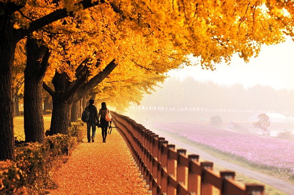 Du lịch Seoul - Nami - Everland